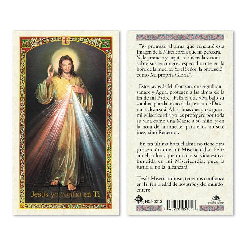 Laminated Mary and Jesus Prayer Cards: Our Lady of La Leche