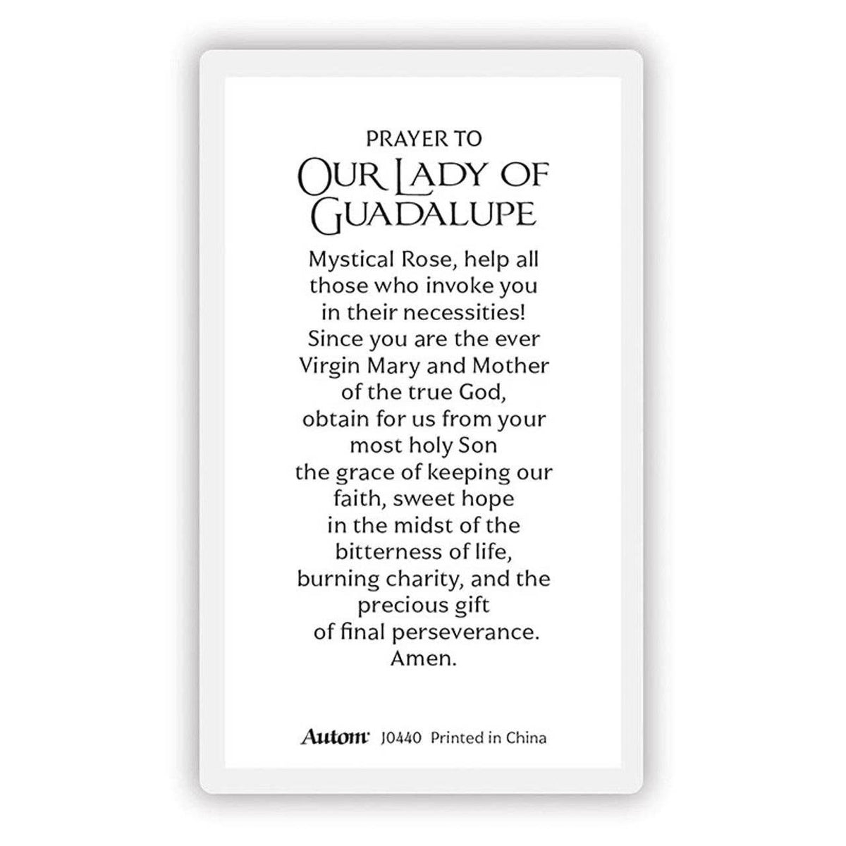Laminated Mary and Jesus Prayer Cards: Our Lady of Guadalupe