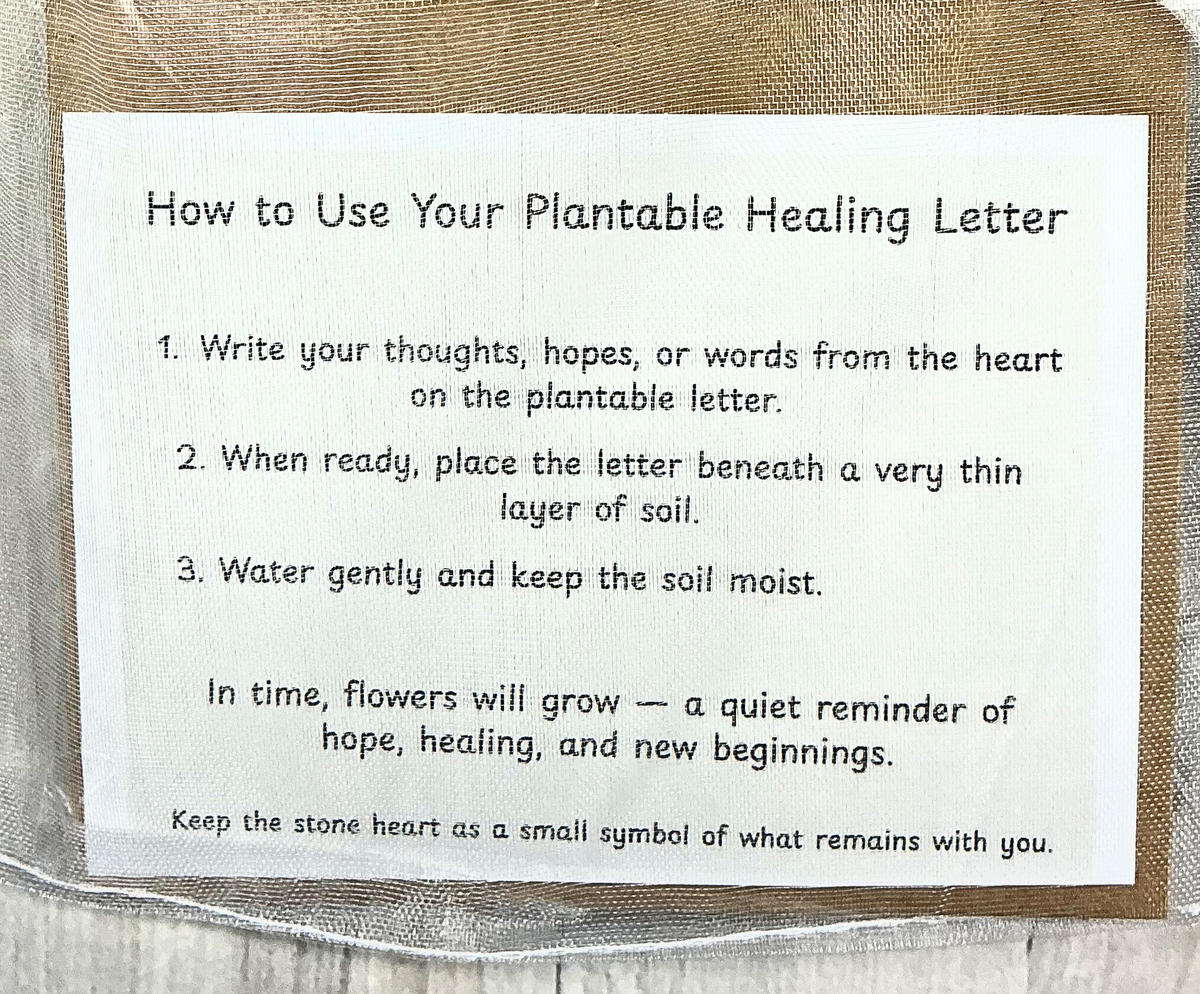 Healing Letter That Blooms – Plantable Comfort Gift Kit