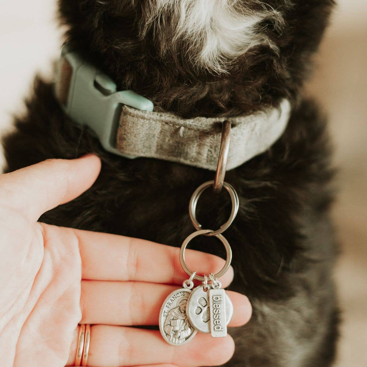 Saints Francis and Anthony Pet Blessing Tag: Gold Large