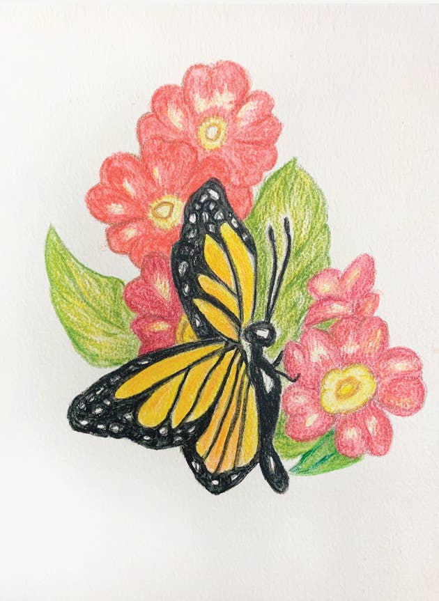 Butterfly Artwork Card by Sister Mary Oliver Reising: Individual