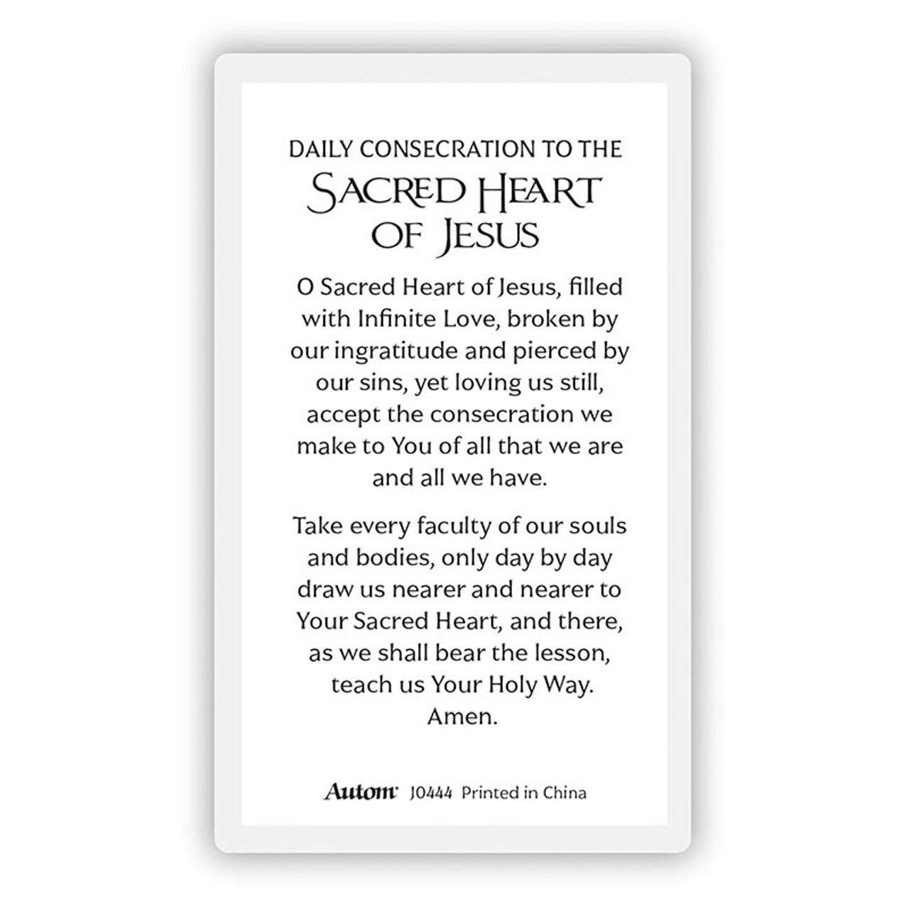 Laminated Mary and Jesus Prayer Cards: Our Lady of La Leche