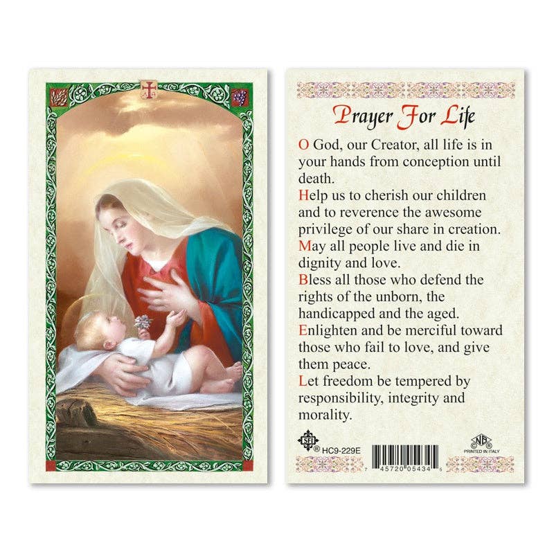Laminated Mary and Jesus Prayer Cards: Our Lady of La Leche