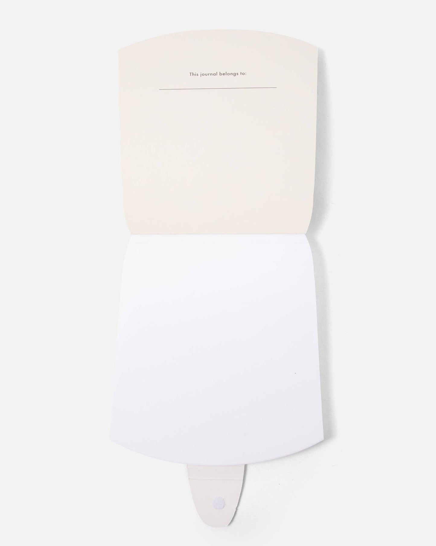 Jesus and Mary Notebooks